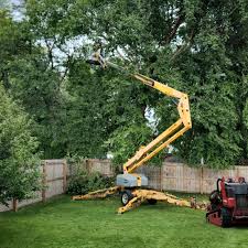 Best Lawn Mowing  in Mansfield, TX